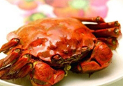 陽(yáng)澄湖大閘蟹哪里買？哪里能買到正宗的陽(yáng)澄湖大閘蟹？