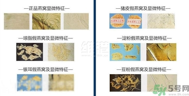 去香港買燕窩哪里好？香港哪里買燕窩比較好正宗？