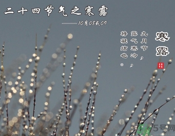 寒露是什么意思？寒露是幾月幾日