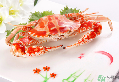 梭子蟹和花蟹的區(qū)別？梭子蟹和花蟹哪個好吃？