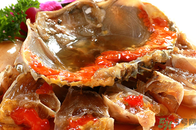 膏蟹是河蟹還是海蟹？膏蟹是什么蟹？