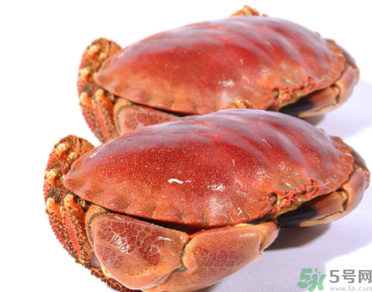 面包蟹多少錢一斤？面包蟹多少錢一只？