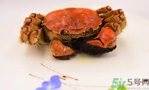 珍寶蟹和面包蟹的區(qū)別？珍寶蟹和面包蟹哪個好吃？