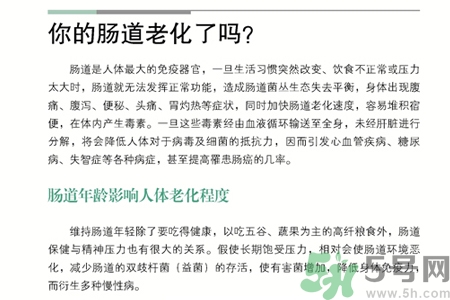 引起腸道老化的原因是什么？四種人腸道老化快