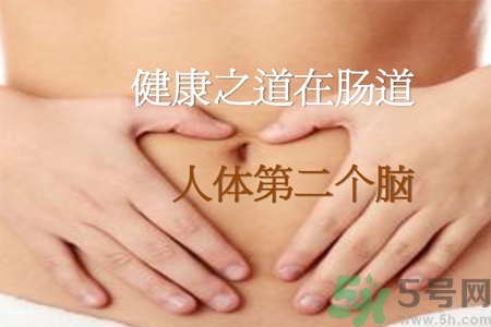 引起腸道老化的原因是什么？四種人腸道老化快