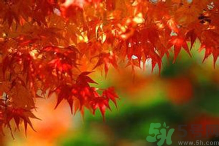 秋燥皮膚癢吃什么好？秋燥4妙招保護(hù)皮膚