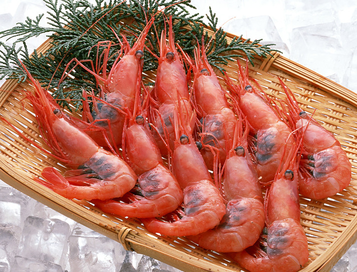 海蝦煮多長時間熟？海蝦怎么煮？