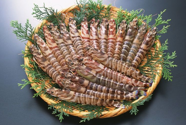 海蝦煮多長時間熟？海蝦怎么煮？