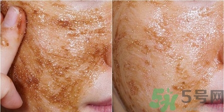 skin food思親膚適合什么年齡？思親膚適合多大年齡？