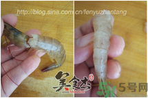 活蝦怎么處理干凈蝦線？活蝦怎么去蝦線？