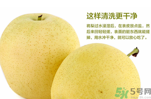 皇冠梨是雪梨嗎？皇冠梨和雪梨的區(qū)別