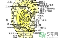 每天揉耳朵有什么好處？?揉耳朵的正確方法是什么？