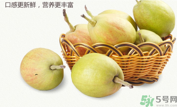 孕婦能吃香梨嗎？香梨孕婦可以吃嗎？