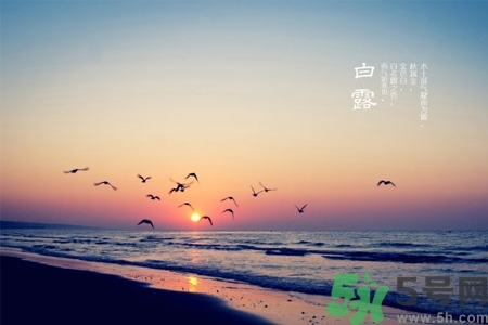 白露節(jié)吃什么？白露節(jié)的傳統(tǒng)美食有哪些？