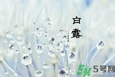 白露節(jié)吃什么？白露節(jié)的傳統(tǒng)美食有哪些？