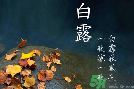 白露節(jié)吃什么？白露節(jié)的傳統(tǒng)美食有哪些？