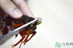 活蝦怎么處理干凈蝦線？活蝦怎么去蝦線？