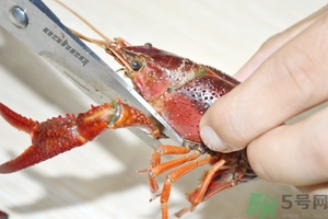 活蝦怎么處理干凈蝦線？活蝦怎么去蝦線？