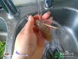 活蝦怎么處理干凈蝦線？活蝦怎么去蝦線？