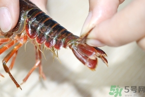 活蝦怎么處理干凈蝦線？活蝦怎么去蝦線？