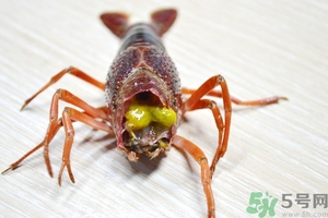 活蝦怎么處理干凈蝦線？活蝦怎么去蝦線？