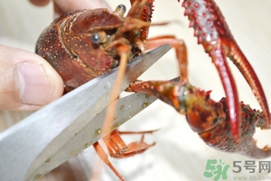 活蝦怎么處理干凈蝦線？活蝦怎么去蝦線？