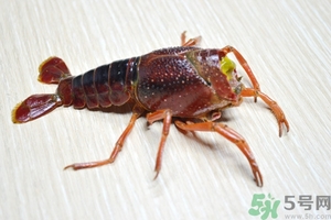 活蝦怎么處理干凈蝦線？活蝦怎么去蝦線？