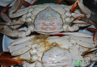 海蟹蒸多長時間?海蟹蒸多長時間最好吃? 海蟹蒸多長時間?海蟹蒸多長時間最好吃?
