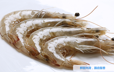 海蝦怎么保存？活海蝦怎么保存？