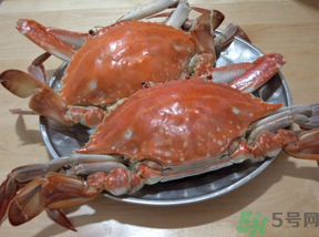 海蟹蒸多長時間?海蟹蒸多長時間最好吃? 海蟹蒸多長時間?海蟹蒸多長時間最好吃?