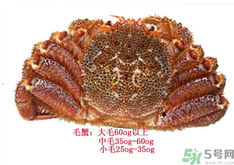 毛蟹蒸多長(zhǎng)時(shí)間？毛蟹蒸多久會(huì)熟？
