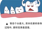 智齒拔了好不好？智齒能不拔嗎？