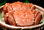 紅毛蟹怎么吃？紅毛蟹怎么做好吃？