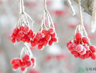 霜降是幾月幾日？霜降是什么意思？