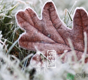 霜降是什么季節(jié)？霜降是秋天還是冬天？