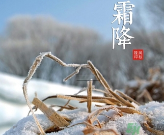 霜降出生的孩子好嗎？霜降出生的寶寶怎么取名？