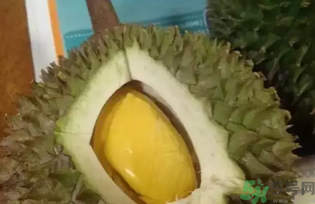 榴蓮吃多了會(huì)怎么樣？榴蓮吃多了好嗎？