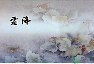 霜降為什么要吃柿子？霜降吃柿子有什么好處？