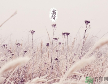 霜降為什么要吃柿子？霜降吃柿子有什么好處？