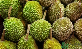 榴蓮可以冷凍保存嗎？榴蓮放冰箱是冷藏還是冷凍？