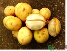 椰色果的功效作用 椰色果怎么吃？