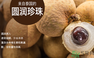 泰國龍眼和普通龍眼什么區(qū)別？泰國龍眼和普通龍眼哪個好？