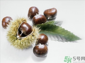 老人能喝板栗酒嗎？板栗怎么泡酒呢？