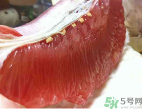 剝開的柚子能放冰箱嗎？柚子肉可以放冰箱嗎？