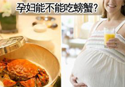 懷孕可以吃螃蟹嗎？懷孕吃了螃蟹怎么辦？