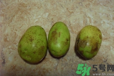 土豆發(fā)綠還能吃嗎？土豆發(fā)綠皮削皮后能吃嗎？