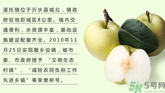 牛心果怎么吃？牛心果的功效和作用