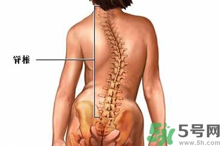 僵直性脊椎炎的癥狀有哪些？怎樣預(yù)防僵直性脊椎炎？