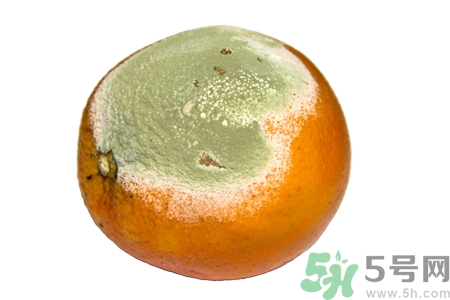 水果發(fā)霉了可以吃嗎？發(fā)霉的水果對人體有什么危害？