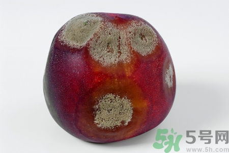 水果發(fā)霉了可以吃嗎？發(fā)霉的水果對人體有什么危害？